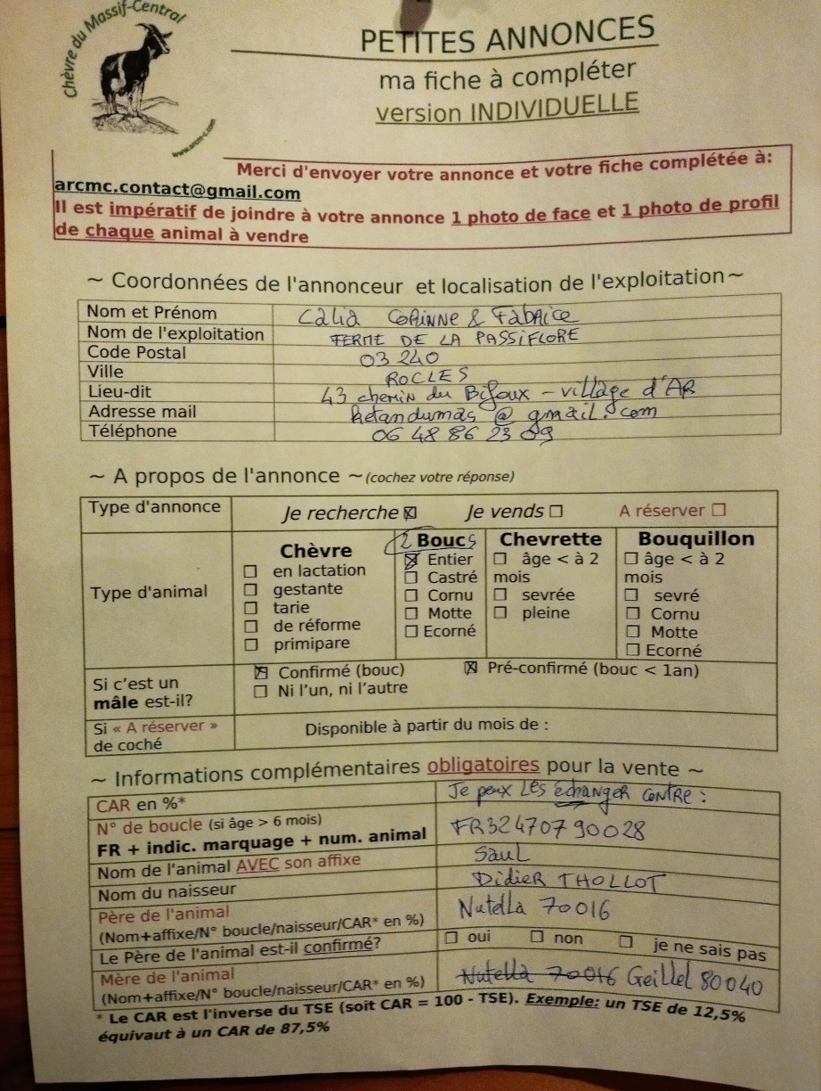 Fiche petite annonce
