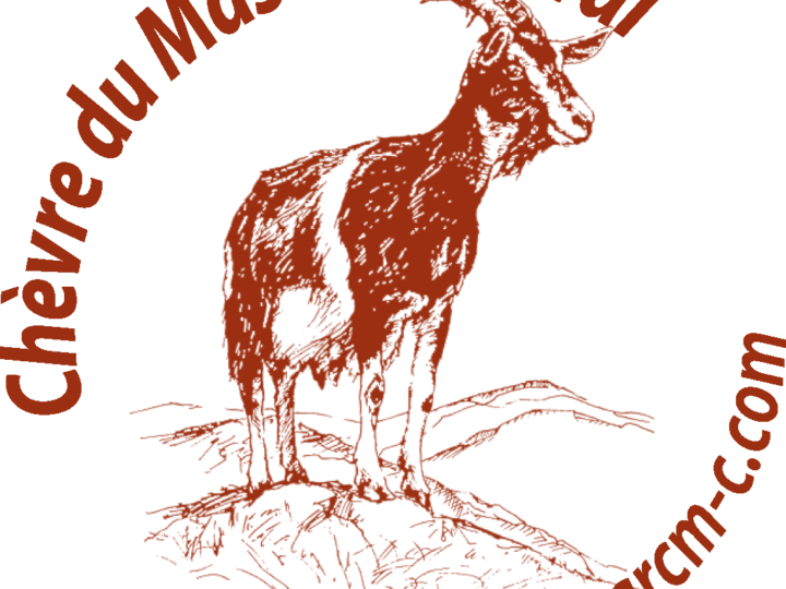 Lettre d&rsquo;infos 1er semestre 2026